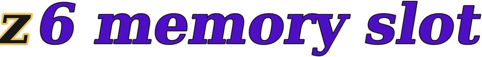 z6 memory slot logo